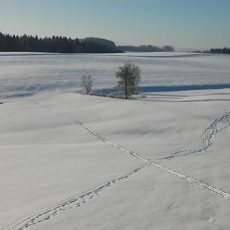 Apartamento Altes Schulhaus